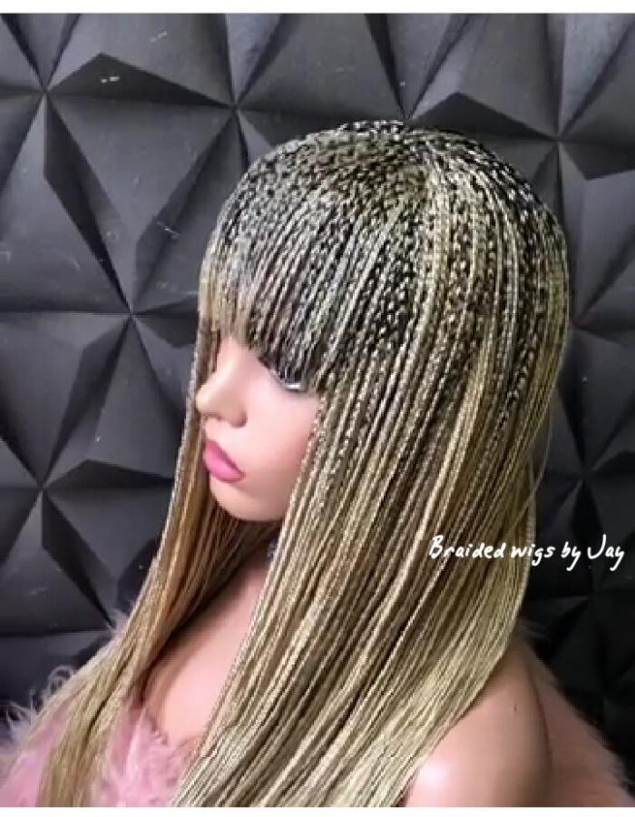 Desiree Braids Wig - BraidedWigsbyJay