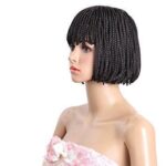 Zara wig - BraidedWigsbyJay