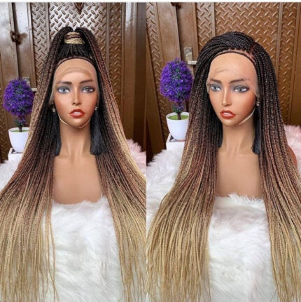 Nosa Knotless Braids Wig (Ombre) - BraidedWigsbyJay