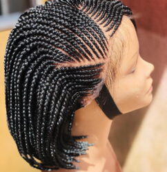 Adedamee Braids Wig - BraidedWigsbyJay