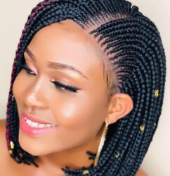 Adedamee2 Braids Wig - BraidedWigsbyJay