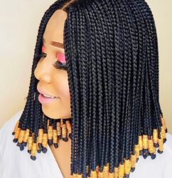 Asike Braids Wig - BraidedWigsbyJay